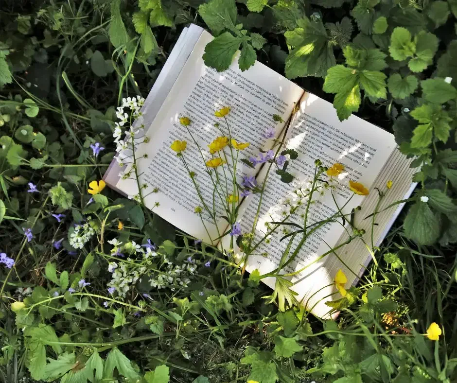 nyitott konyv a termeszetben (1)